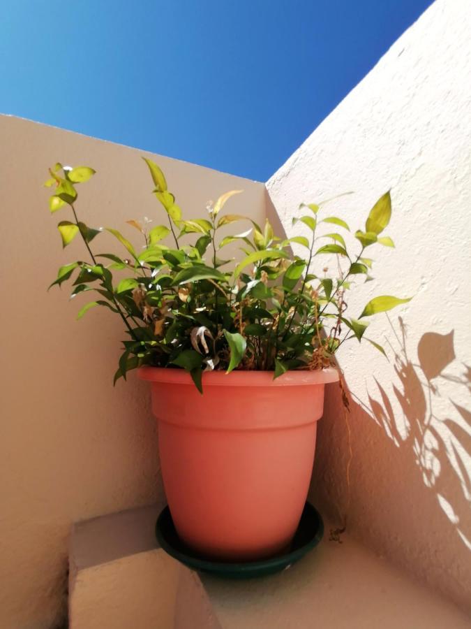 Apartamento Penha T3 FAO Eksteriør billede